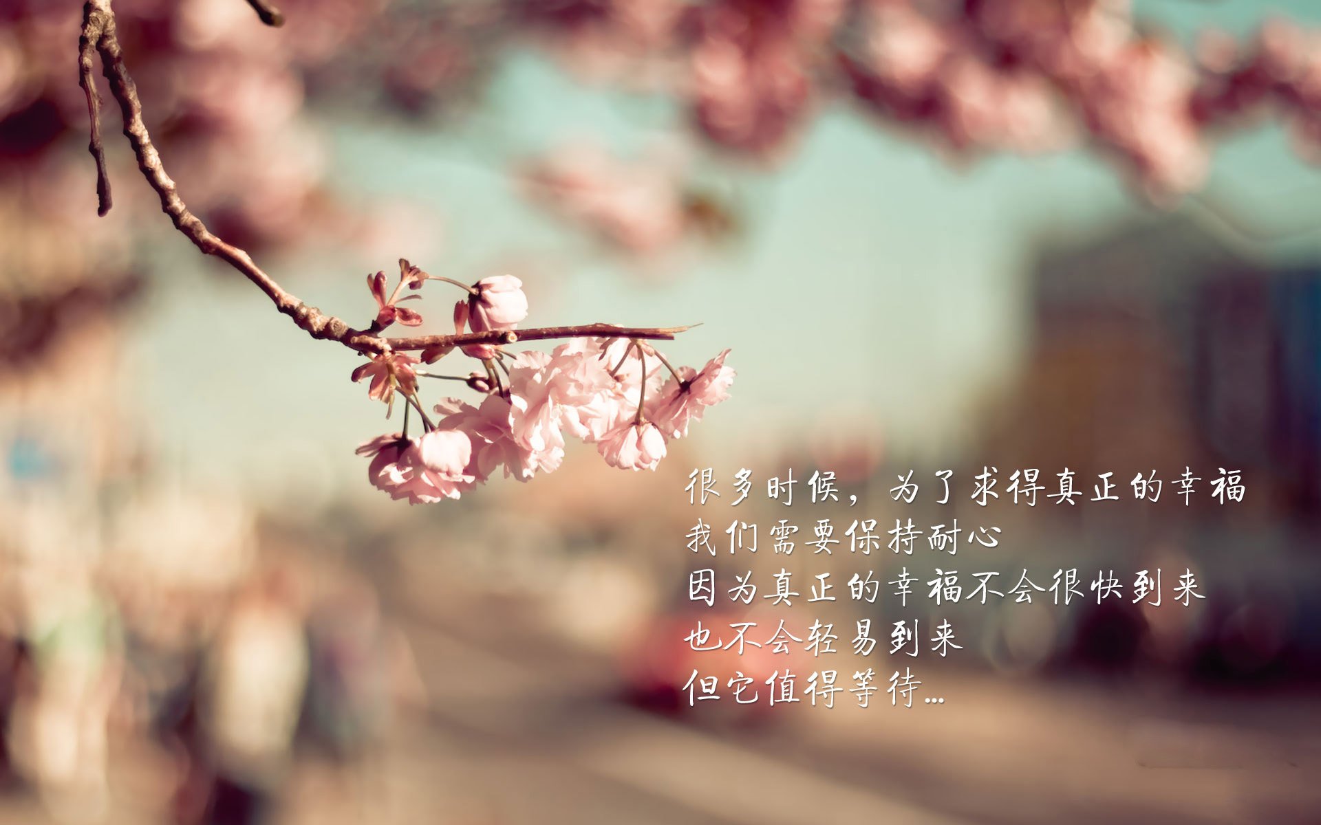 爱游戏登录入口-青少年篮球“名师”工程启动，推动行业专业化发展，青少年篮球课程介绍