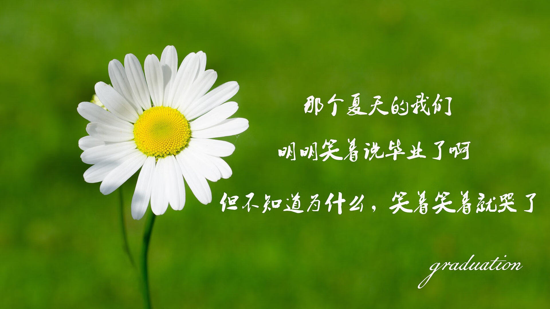 爱游戏下载-热火主力表现稳定主场获胜，热火主力缺席