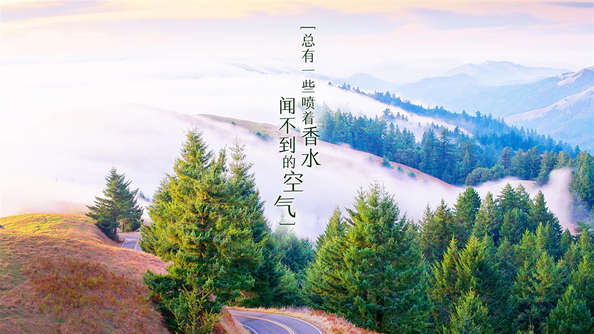 绿色马拉松倡环保，湖区互动体验受欢迎，生态马拉松