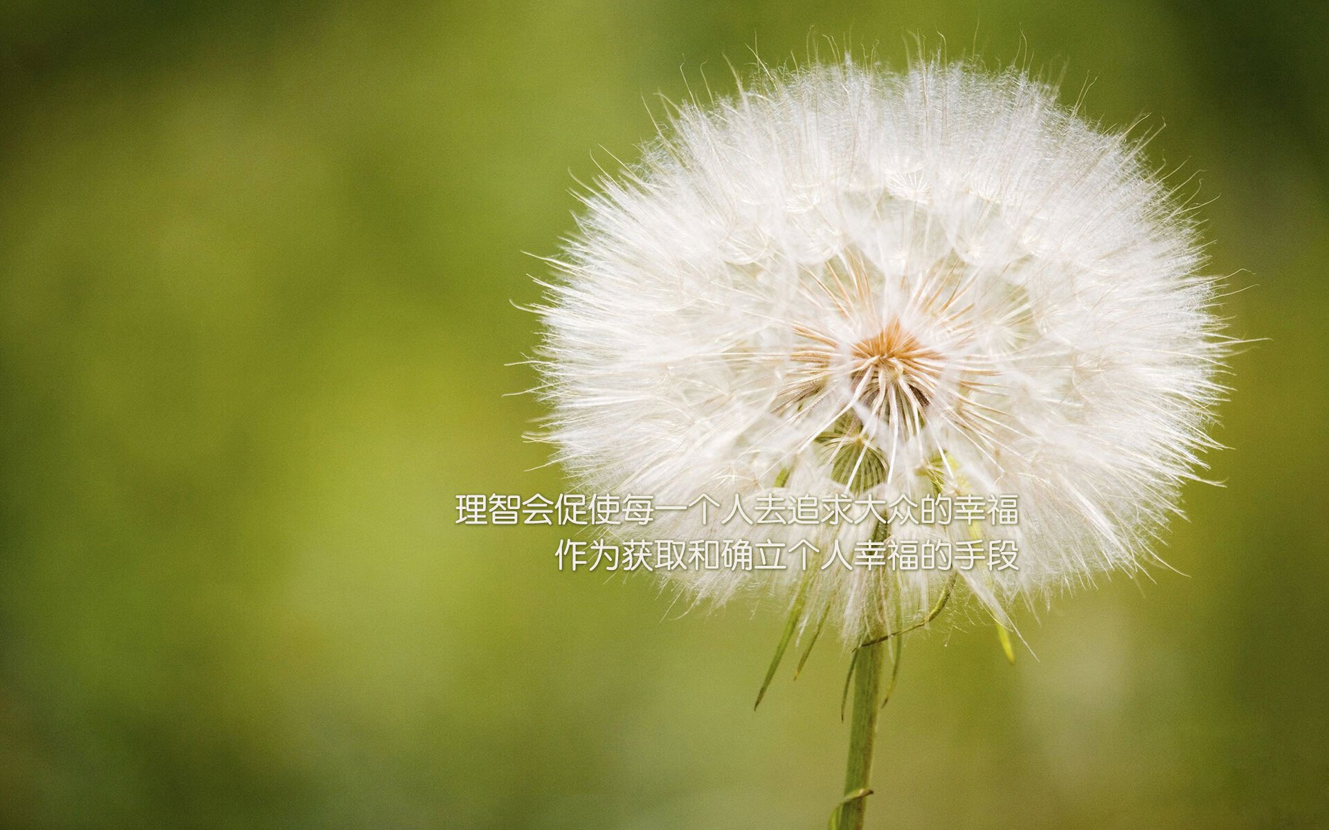 爱游戏体育-体育新闻中心训练营专题报道，体育新闻现场报道