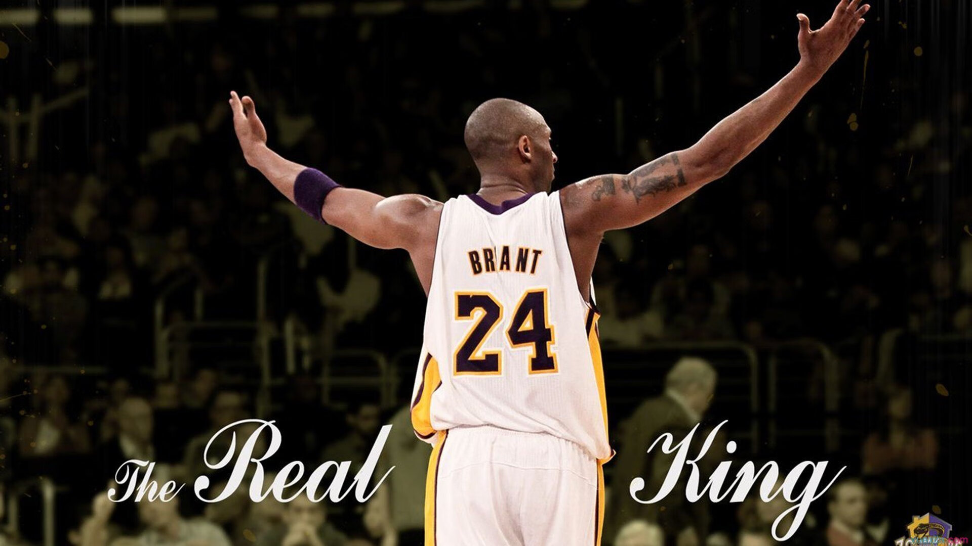 _传承经典：百年名赛历届精彩瞬间回顾_，百年名士